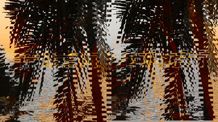 一站式网上办事大厅