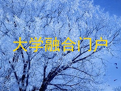 大学融合门户