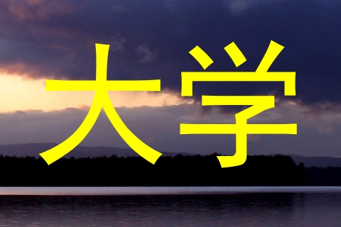大学