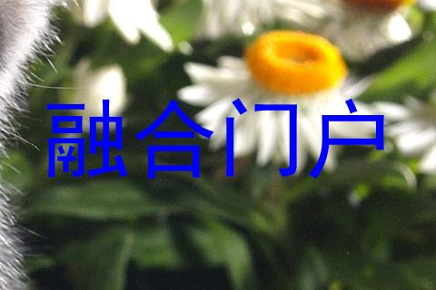 融合门户