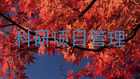 科研项目管理