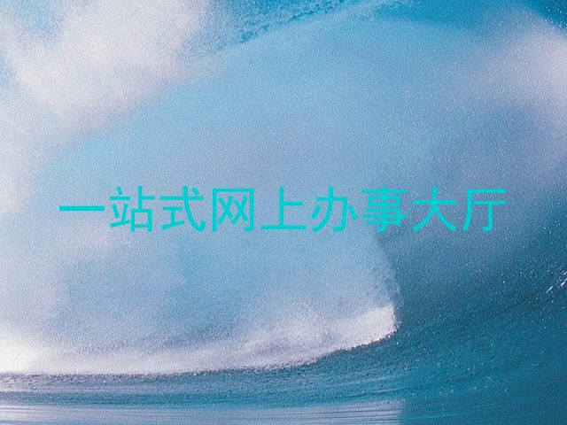 一站式网上办事大厅