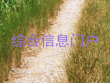 综合信息门户