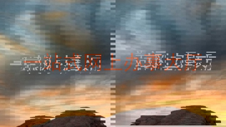 一站式网上办事大厅