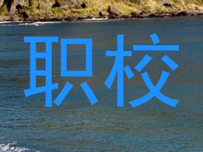 职校