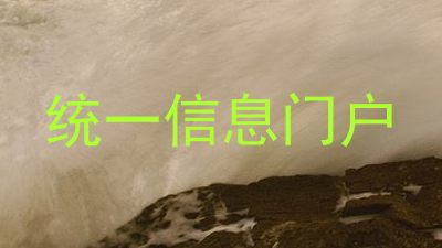 统一信息门户