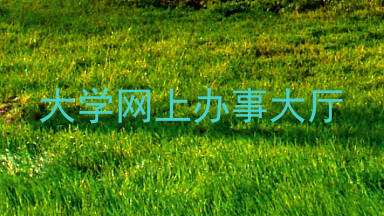 大学网上办事大厅