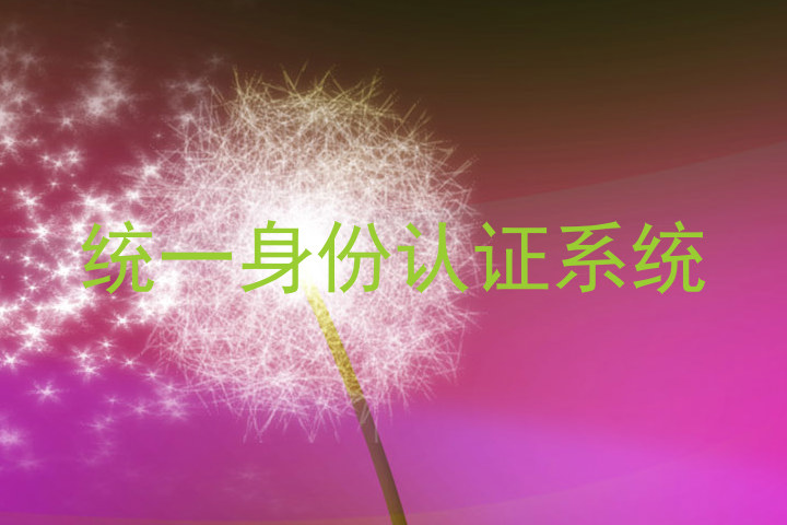 统一身份认证系统