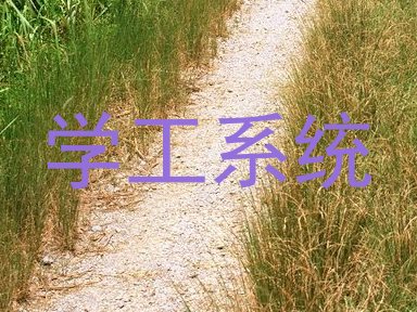 学工系统