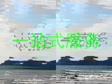 一站式服务