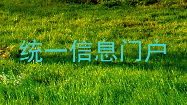 统一信息门户