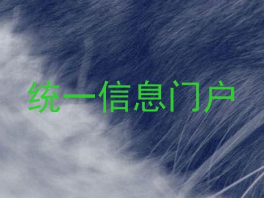 统一信息门户
