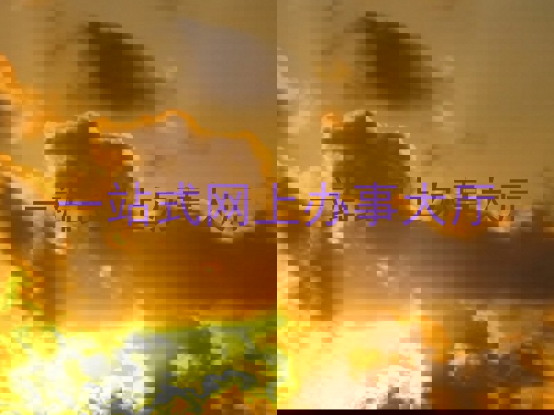 一站式网上办事大厅