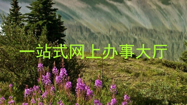 一站式网上办事大厅