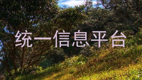 统一信息平台