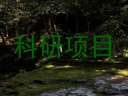 科研项目