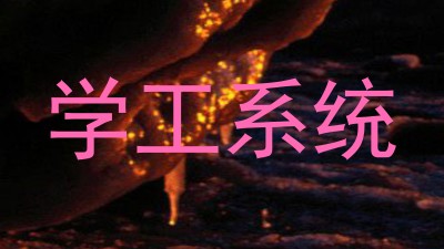 学工系统