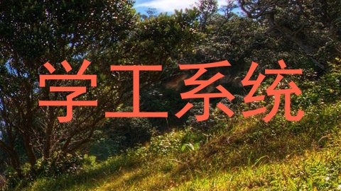 学工系统