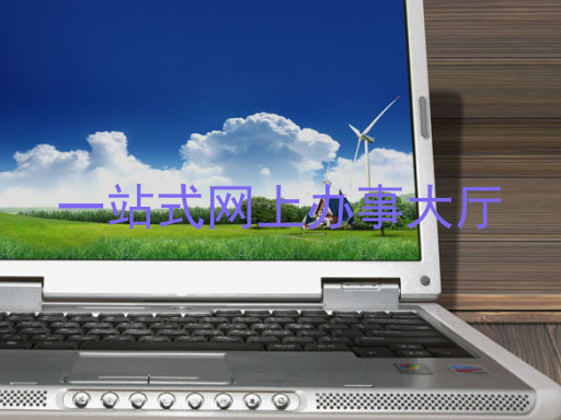 一站式网上办事大厅