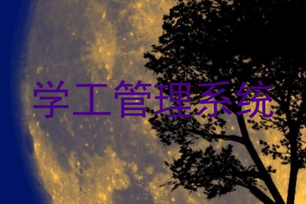 学工管理系统