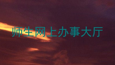 师生网上办事大厅