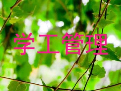 学工管理