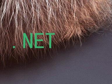 .NET