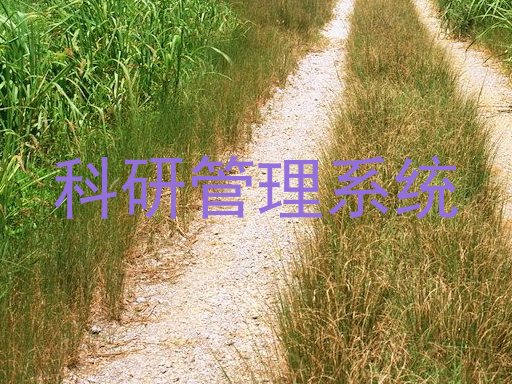 科研管理系统