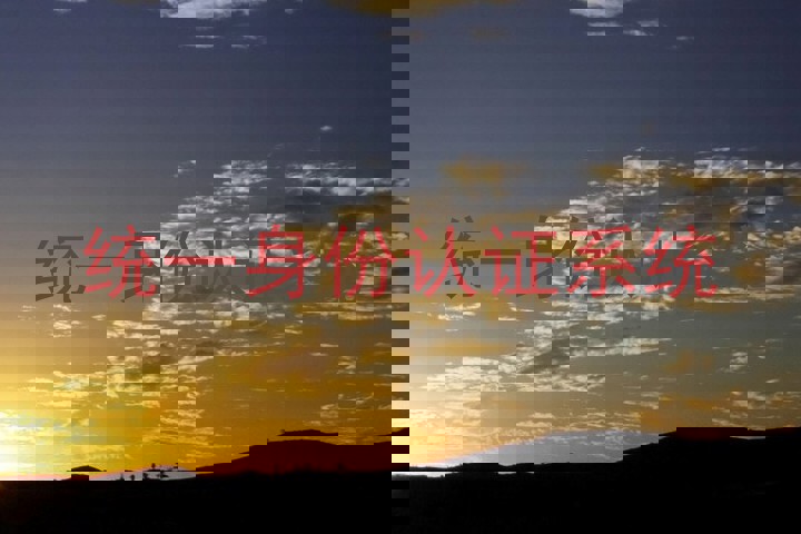 统一身份认证系统