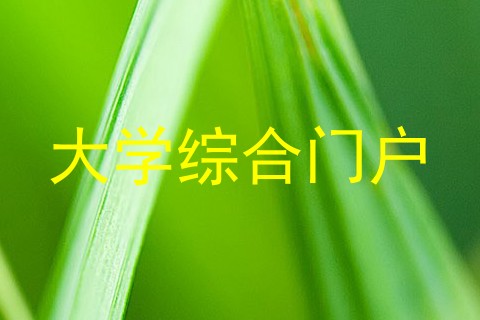 大学综合门户