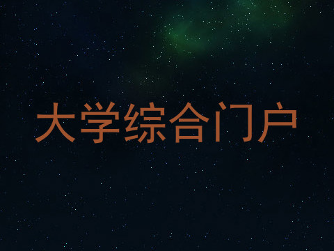 大学综合门户