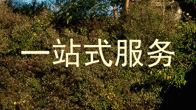 一站式服务