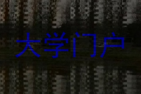 大学门户