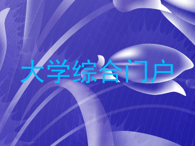 大学综合门户