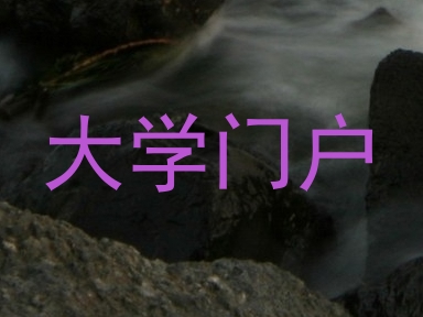 大学门户