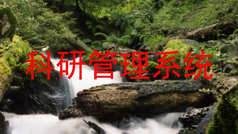 科研管理系统