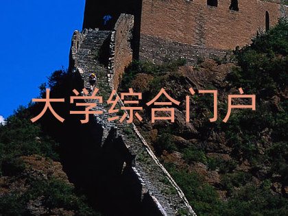 大学综合门户