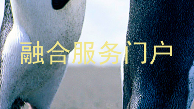 融合服务门户
