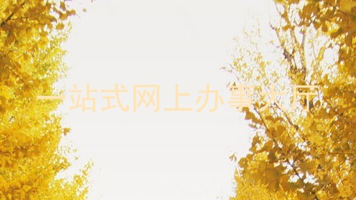 一站式网上办事大厅