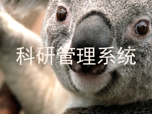 科研管理系统