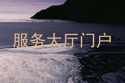服务大厅门户