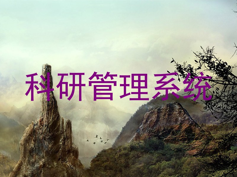 科研管理系统