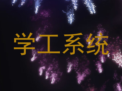 学工系统