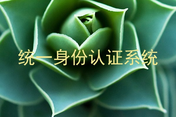 统一身份认证系统