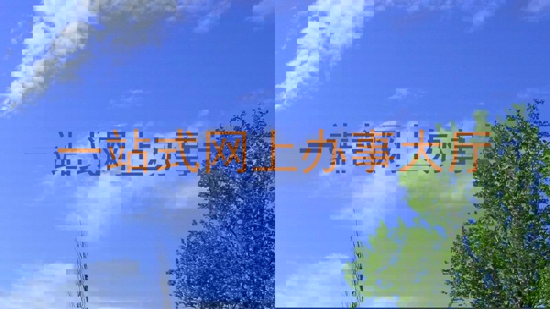 一站式网上办事大厅