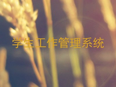 学生工作管理系统