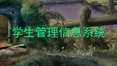 学生管理信息系统