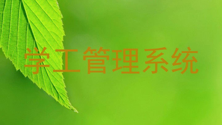 学工管理系统