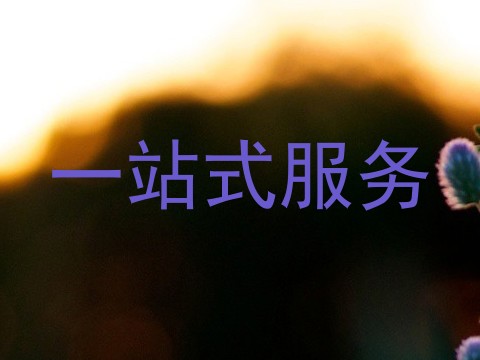 一站式服务