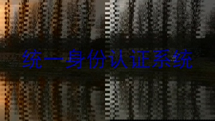 统一身份认证系统